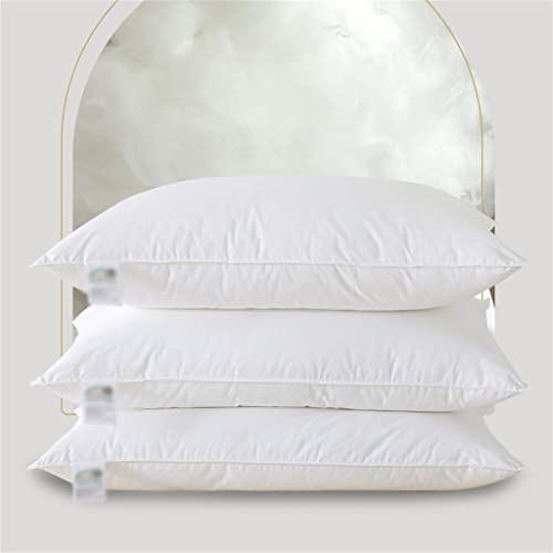 ZGYOZMNG Noyau d'oreiller en Fibre de Coton de Luxe - Confort et Soutien ultimes pour la Columnaire - Qualité Hôtelière 