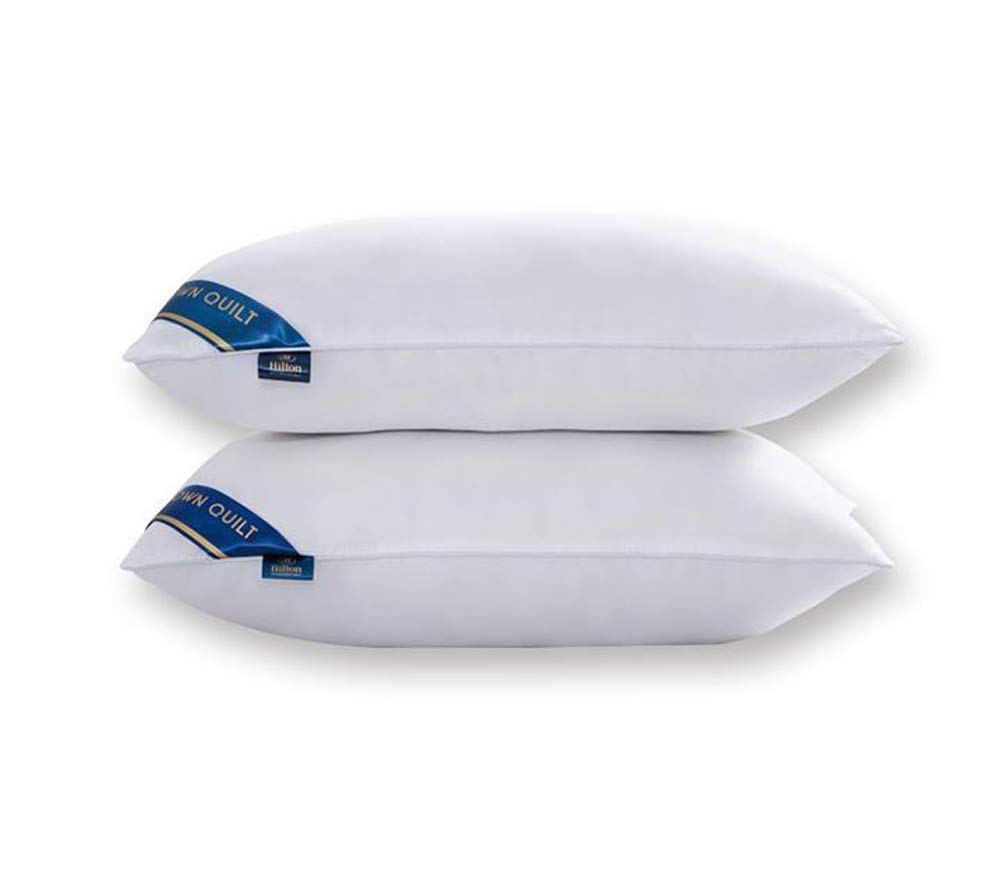 KongEU 2 Oreillers Super Doux & Rebondissants Qualité Hôtelière 48 x 74 cm, Blanc, Support Moyen, Confort de Sommeil Lux