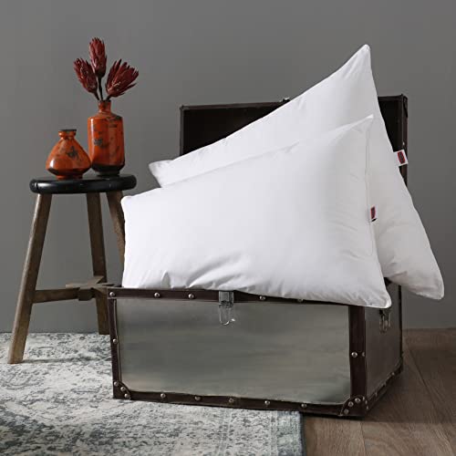 DODO | Oreiller Ultra Gonflant 60x60 | Confort Moelleux et Doux et Fibre Recyclée | Idéal pour une Bonne Night de Sommei