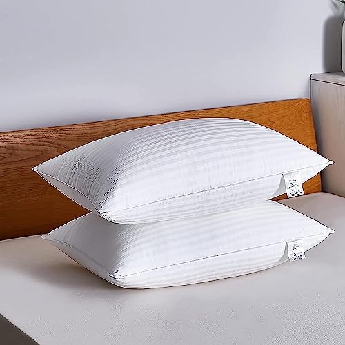Adam Home Oreillers à Rayures pour Dormeur Latéral Lot de 2 50 x 75 cm Qualité Hôtelière Résistants à la Poussière Rempl