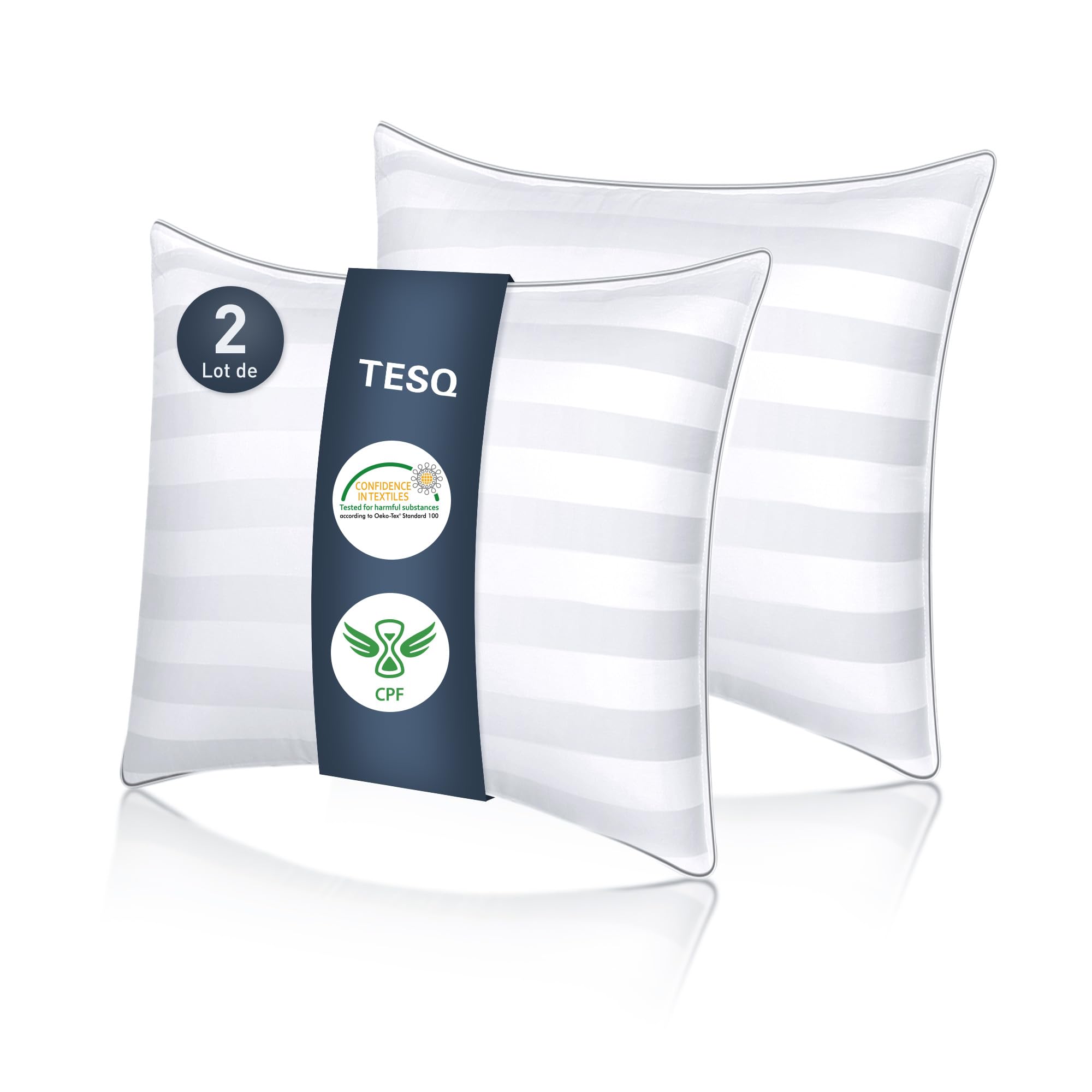 Tesq Oreiller 60X60 Cm Lot De 2