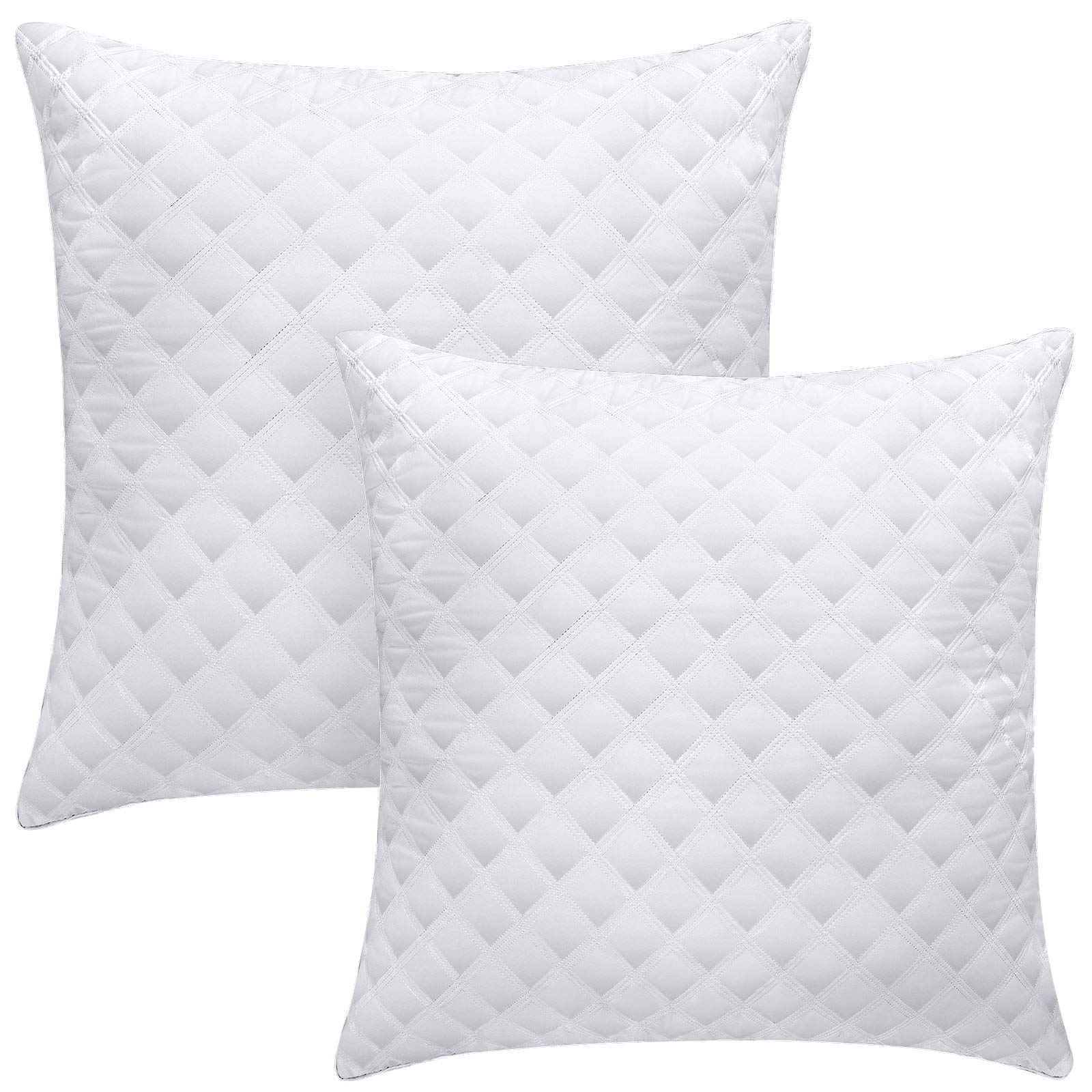 OOCMESS Oreillers Antiallergiques Lot de 2, Ergonomiques et Moelleux pour Dormeurs, Idéaux pour Hotel et Casa, Faciles à