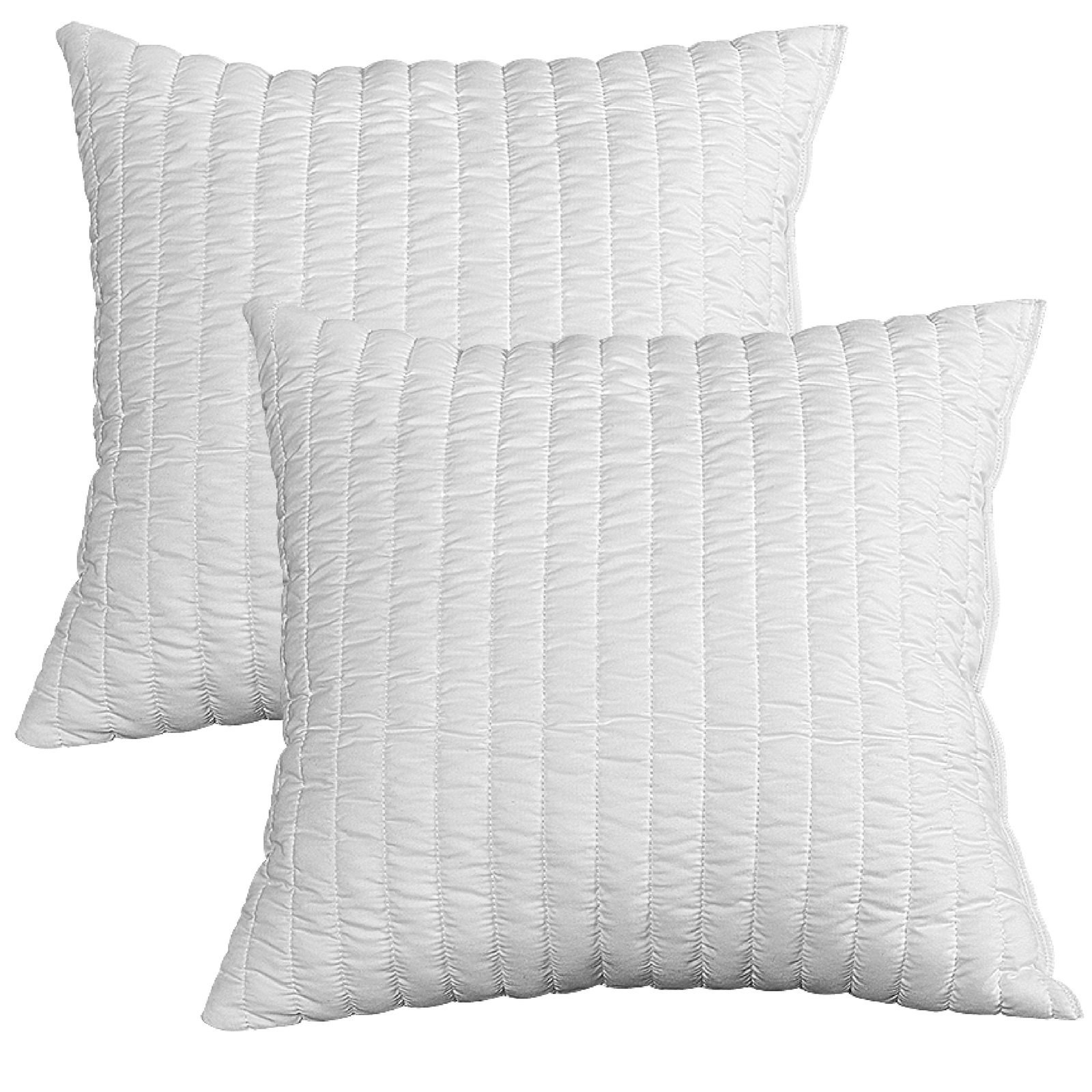 EVERGREENWEB Oreillers 60x60 cm Hypo-Allergénique Lot de 2 en Mémoire de Forme Blanc pour Lit Canapé - Régulation Thermi